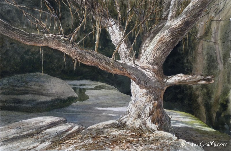 Guy Troughton自然类水彩作品8269