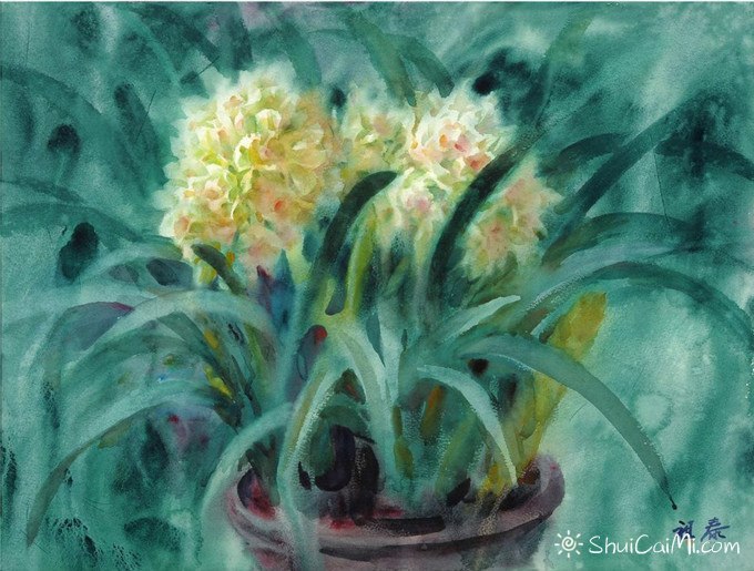 张祖泰静物花卉水彩画-图片1