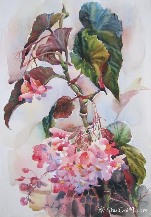 俄罗斯画家埃琳娜Elena Boukingolts的静物水彩-图片5