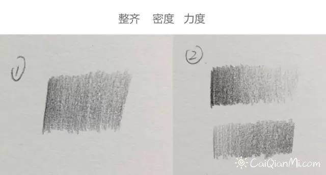 彩铅手绘详细过程康乃馨小教程-图片1