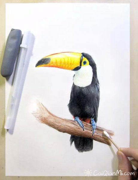 可爱蠢萌小动物宠物彩铅画