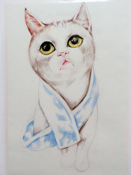 彩铅画可爱猫咪绘画教程-图片2