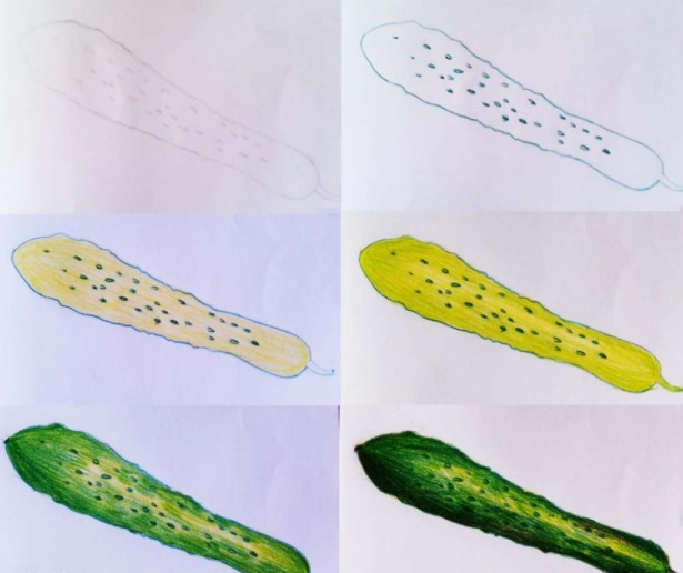 简单好学的临摹水果蔬菜彩铅画