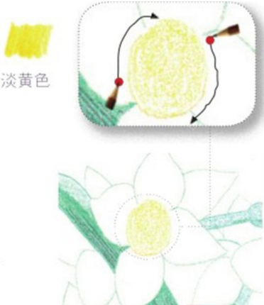 好看的水仙花彩铅画教程-图片1