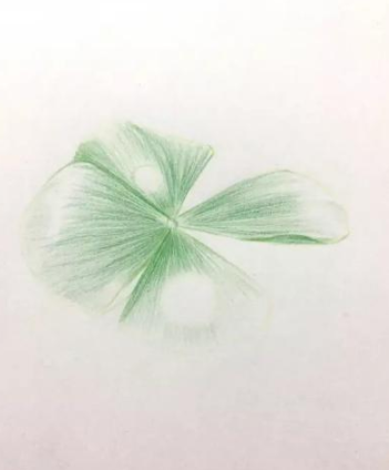 彩铅画简单的四叶草绘画步骤教学-图片1