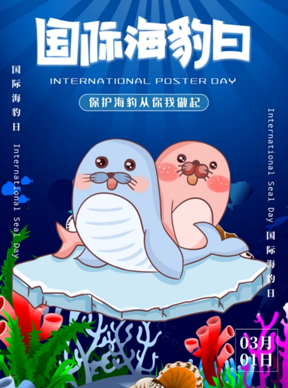 3.1国际海豹日海报图片高清