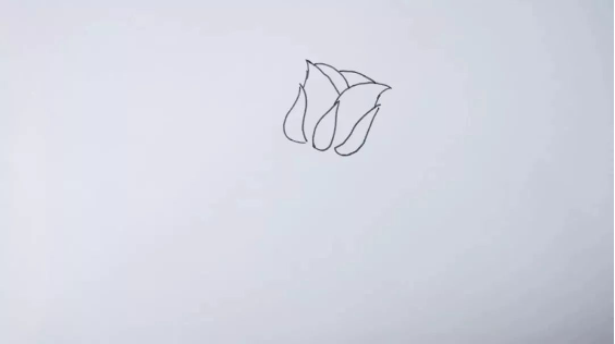 一步一步教你怎样画玫瑰花教程-图片4