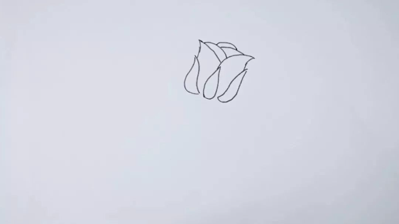 一步一步教你怎样画玫瑰花教程-图片1