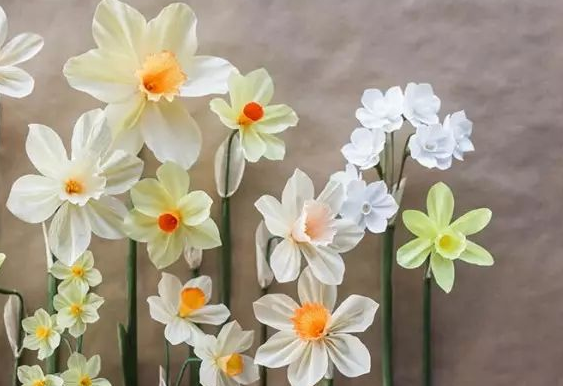 手工纸花制作大全步骤图片大全-图片2