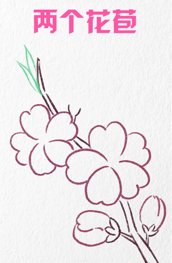桃树简笔画图片带颜色怎么画-图片1