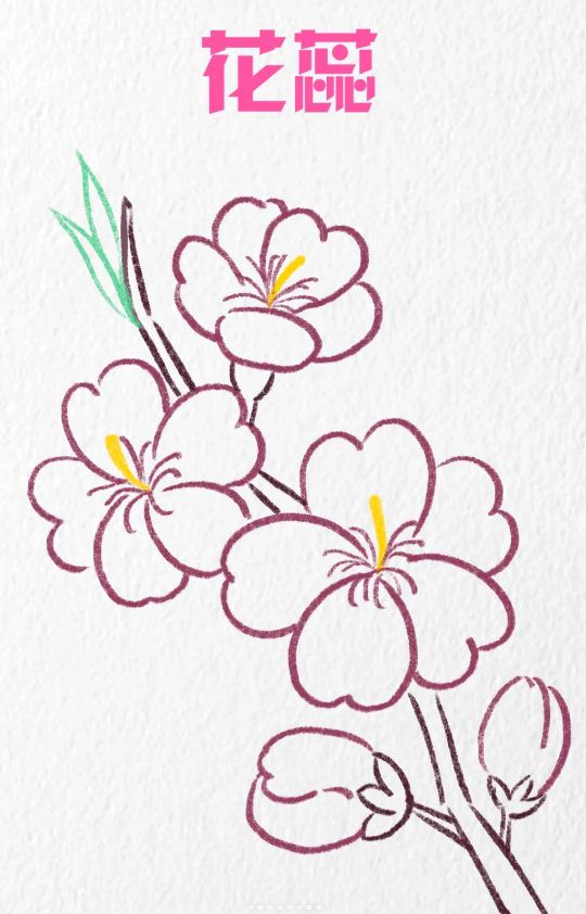 桃树简笔画图片带颜色怎么画-图片2