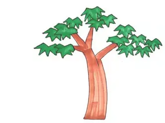 梧桐树简笔画简单又好看图片大全