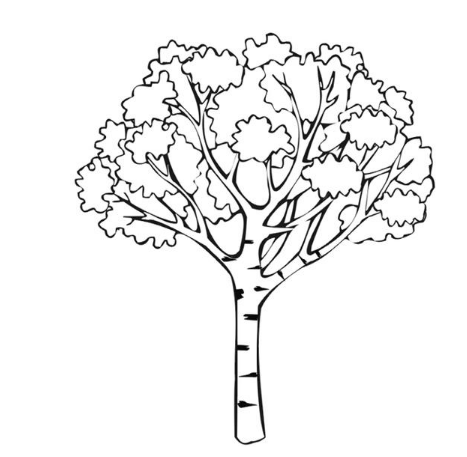 梧桐树简笔画简单又好看图片大全