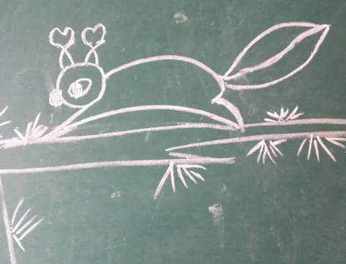 精选松鼠和松树简笔画图片大全大图-图片2