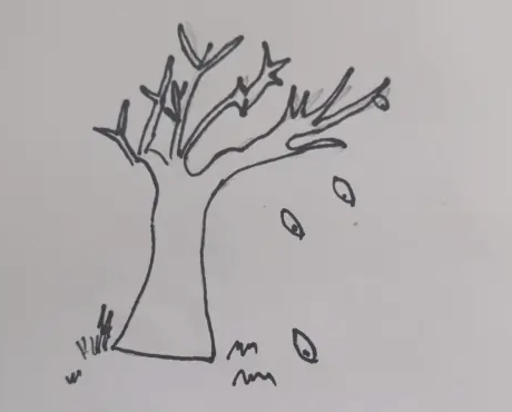 树干的画法简单又漂亮图片大全