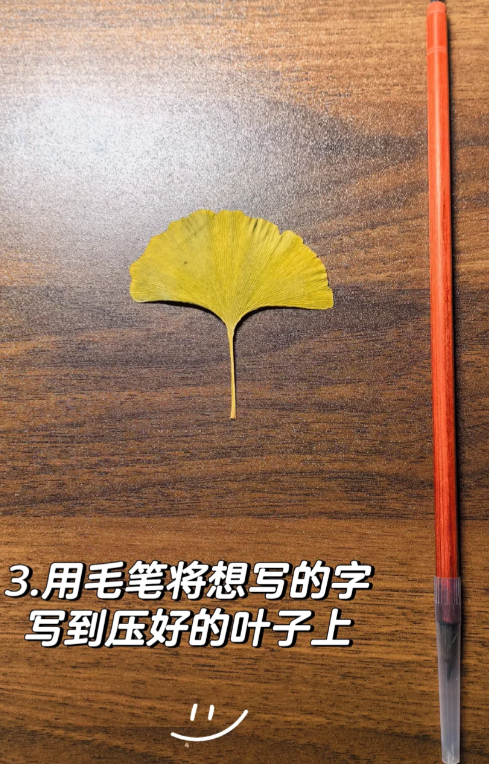 春天树叶标本制作方法图片最新版-图片2