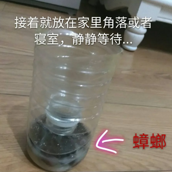 自制捕蟑螂器矿泉水瓶图片教程-图片4