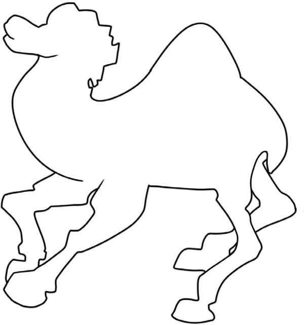 沉稳的骆驼的简笔画怎么画 沉稳的骆驼简笔画好看-图片3