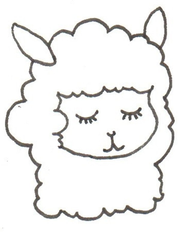 羊驼的简笔画怎么画 羊驼的简笔画顺序-图片2