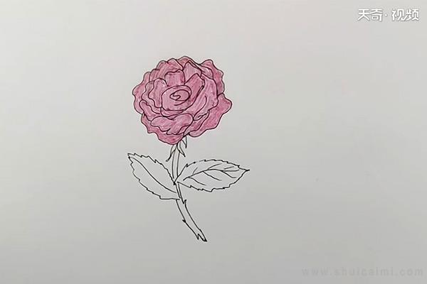 月季花简笔画怎么画 月季花简笔画简单又好看-图片5