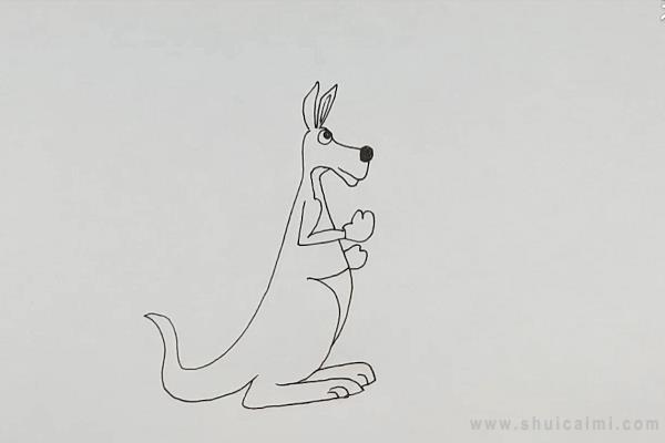 袋鼠简笔画怎么画 袋鼠简笔画好看-图片3