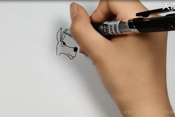 袋鼠简笔画怎么画 袋鼠简笔画好看-图片2