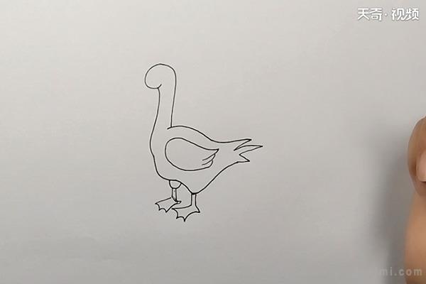 鸭简笔画怎么画 鸭简笔画图片大全-图片3
