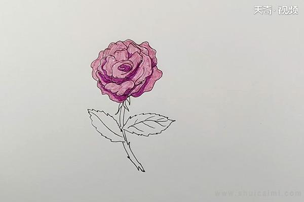 月季花简笔画怎么画 月季花简笔画简单又好看-图片6