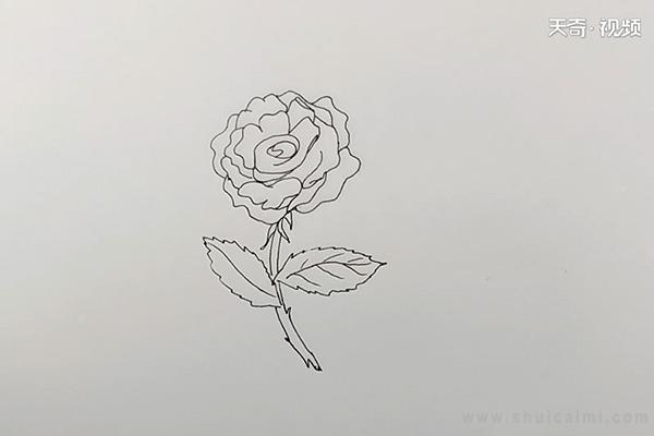 月季花简笔画怎么画 月季花简笔画简单又好看-图片4