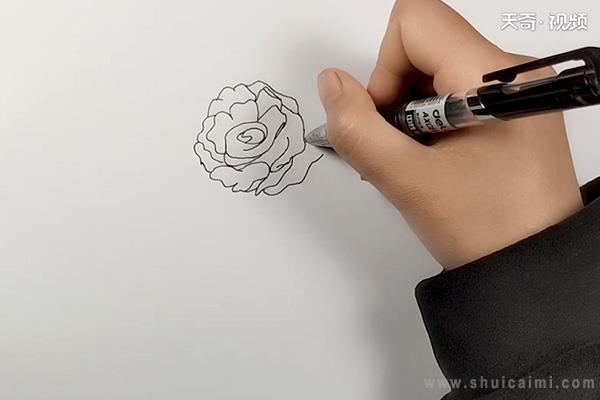 月季花简笔画怎么画 月季花简笔画简单又好看-图片3
