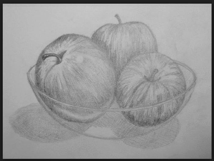 水果素描精选苹果图片作品