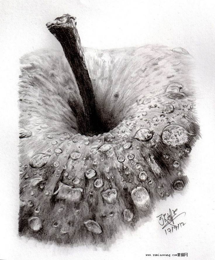 水果素描精选苹果图片作品