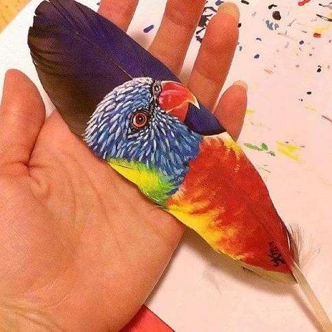 手绘细致好看的羽毛画作精美图片