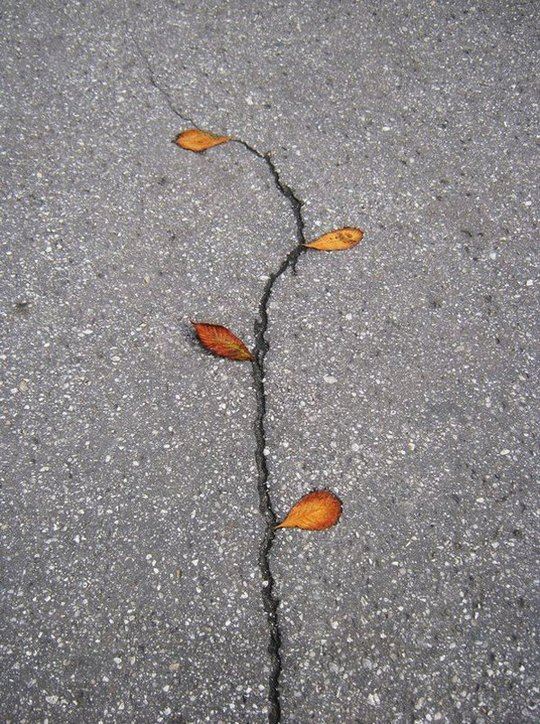 精选关于街头裂痕的插画艺术作品