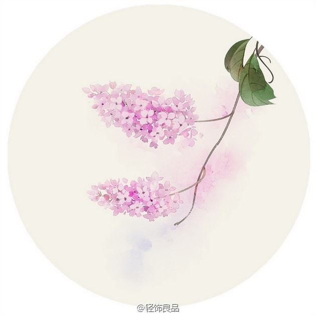 艺术家无轩手绘唯美鲜花插画图片