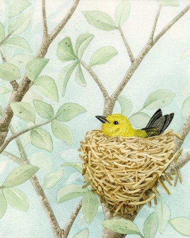 树上小巧可爱的鸟类动物插画图片