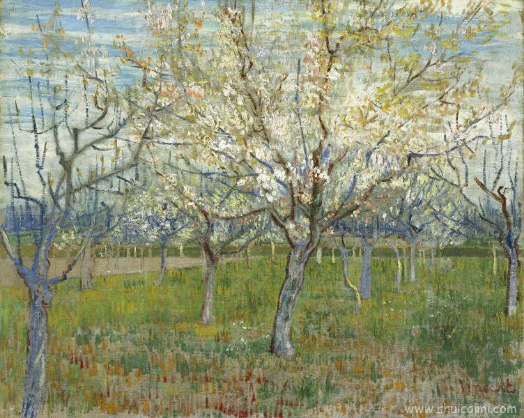 梵高风景绘画之树图片