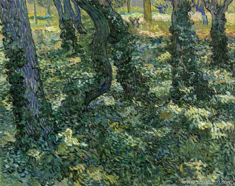 梵高风景绘画之树图片