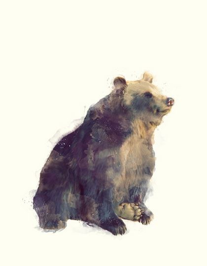 Amy Hamilton手绘栩栩如生的动物插画