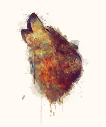 Amy Hamilton手绘栩栩如生的动物插画