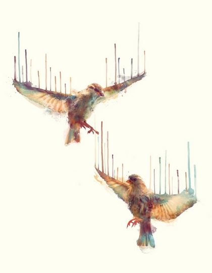 Amy Hamilton手绘栩栩如生的动物插画