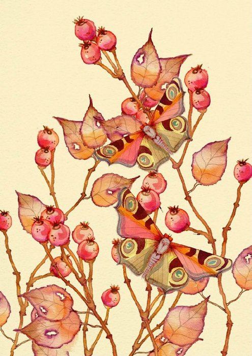 手绘水彩花鸟虫春季风光插画图片