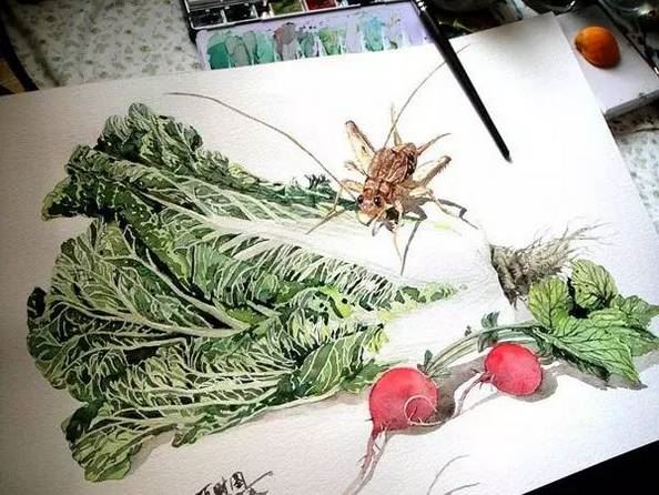 精选手绘效果逼真的水彩插画图片
