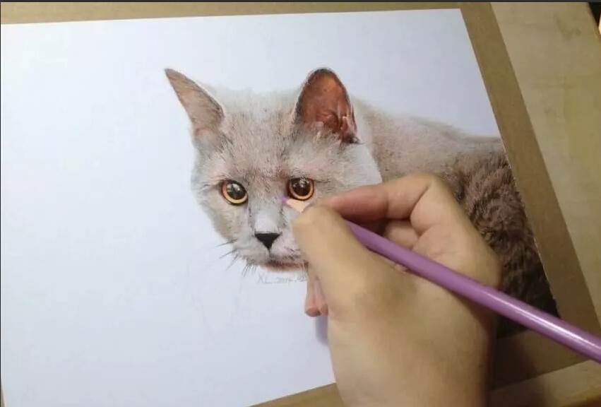 孟祥雷超写实的猫咪彩铅画作品合集