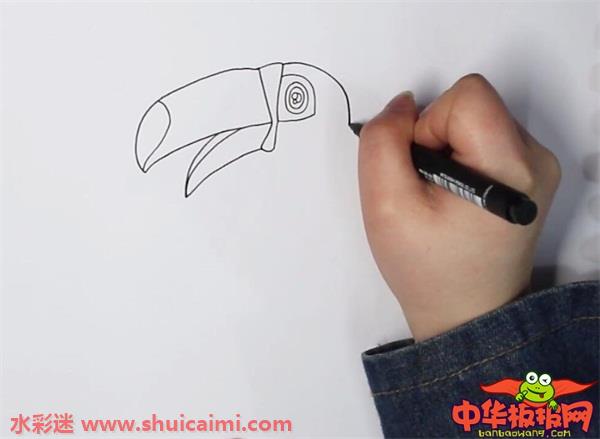 巨嘴鸟怎么画 巨嘴鸟简笔画图片大全带颜色-图片1