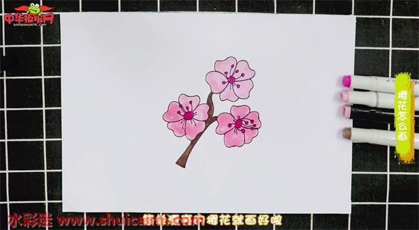 樱花怎么画 樱花简笔画简单好看带颜色