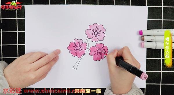 樱花怎么画 樱花简笔画简单好看带颜色