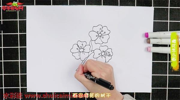 樱花怎么画 樱花简笔画简单好看带颜色