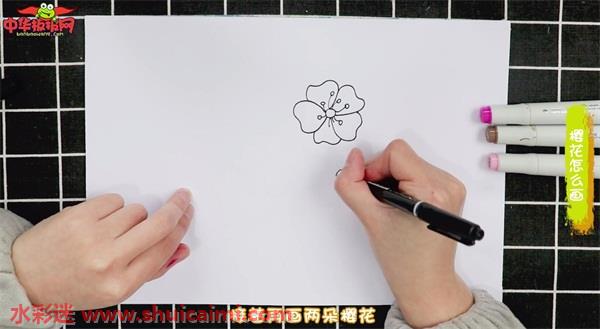 樱花怎么画 樱花简笔画简单好看带颜色