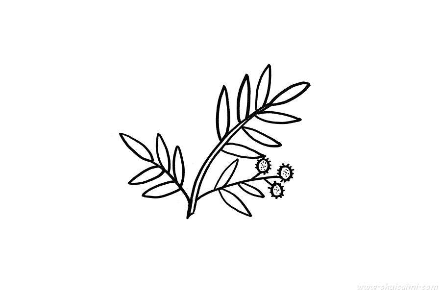 含羞草怎么画 含羞草简笔画图片大全带颜色-图片2